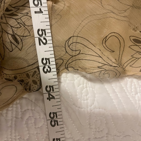 Rina diMontella Strapless Chiffon Gown in Cream and Silver, size 16W - Picture 9 of 11